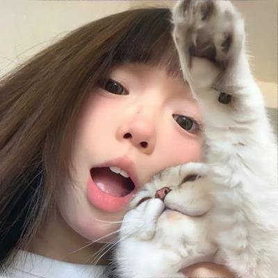 米奇的捕鼠器