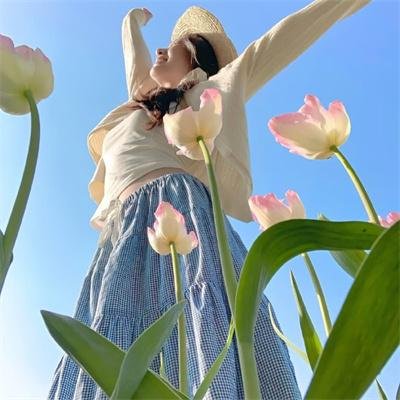 计中计状元财